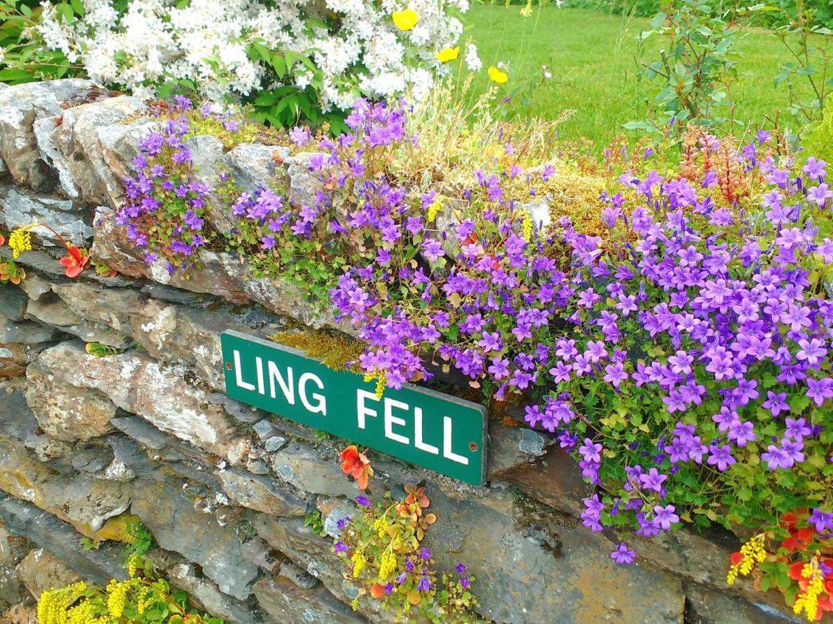 Ling Fell Cottage Алверстон Екстер'єр фото